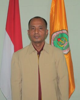 Pak Budi