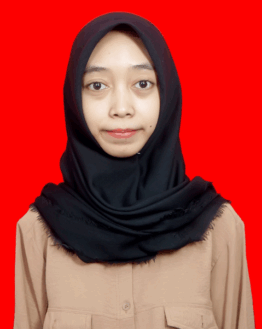 novel