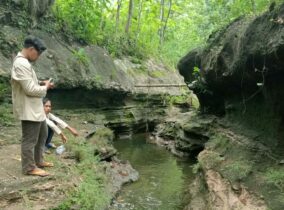 Jejak Sakral Ikan Lele di Desa Biting Purwantoro